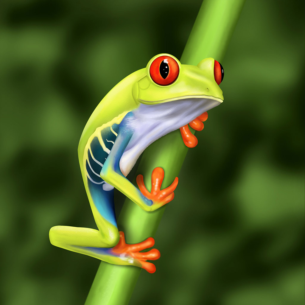 frog